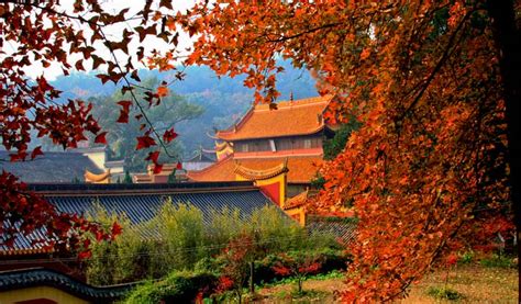 北京颐和园迎来最美秋色