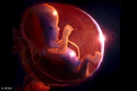 胎宝宝在妈妈肚子里有这4个表现，出生后一定是小淘气