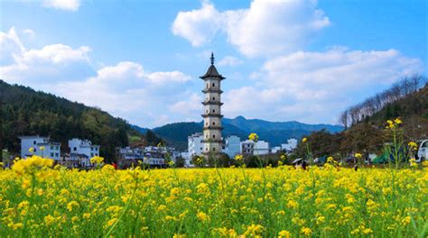 婺源最佳旅游时间是什么时候