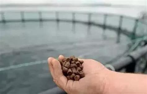 急求~~~~珠海或中山有那些水產(chǎn)飼料公司啊??