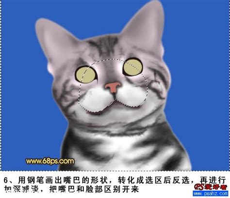 一只小花猫-我的动物朋友作文400字(集锦5则)