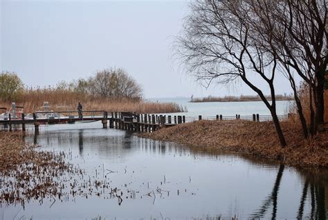 苏州太湖湿地公园要门票吗