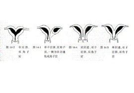宫体大小约56x35x47mm正常吗