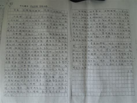 掰玉米-国庆节作文400字（通用8则）