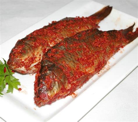 孕妇不小心吃了中药腌制的鱼