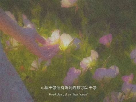 犯错醒悟的经典语录