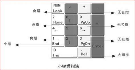 有没有人知道什么打字软件能单独练习数字键（数字键区）的啊？谢谢了