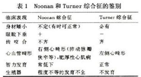 男性孕前检查项目一览表