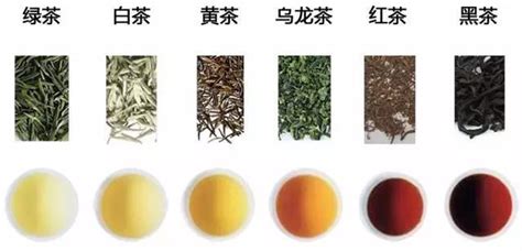 我国六大种类茶:绿茶、红茶、黄茶、白茶、青茶和黑茶各自有什么特点?