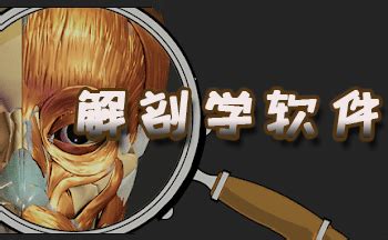 可以看解剖学视频的软件
