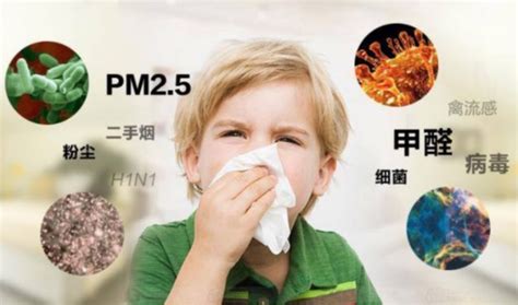 墻衣環保嗎?