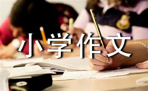 弟弟作伴_小学作文300字(集锦7篇)