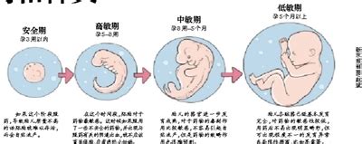 影响胎儿发育的药物有哪些