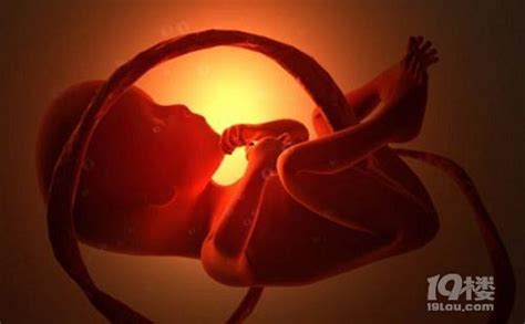 脐带绕颈对胎儿的影响