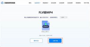 flv格式的文件用什么播放器可以播放呀?