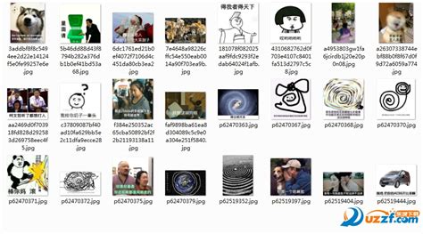 谁能给我一个安卓手机的自动骂人软件,谢谢了,我快被骂疯了,急 在线等