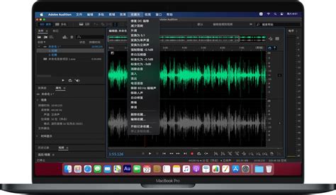 Adobe公司出来的音频处理软件叫什么?
