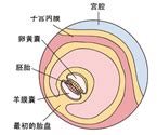 37周入盆吃火锅催生吗