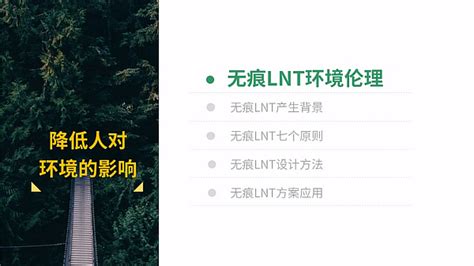 lnt.是什么词