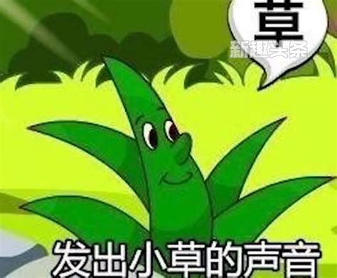 思想与思想的碰撞迸发出智慧的火花