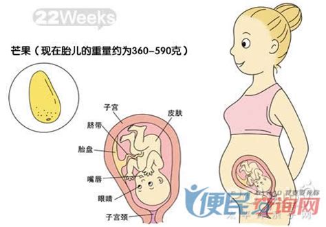 二胎怀孕37周胎儿入盆怎么办