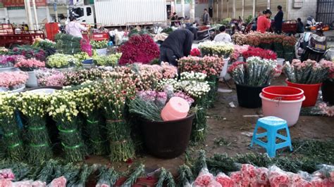 山东最大的花卉市场在哪