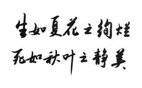 夏花般灿烂_写事作文800字【合集5篇】