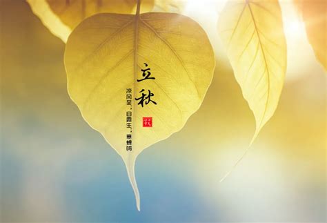 今日立秋适合发朋友圈的话【精选110段】
