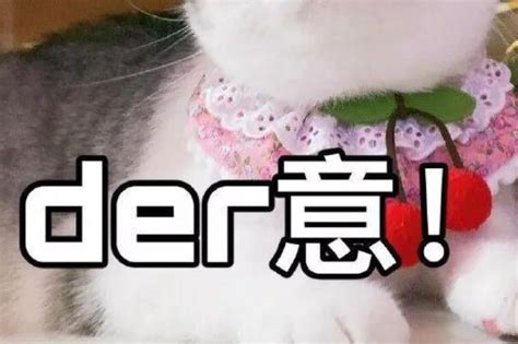 der是什么意思?