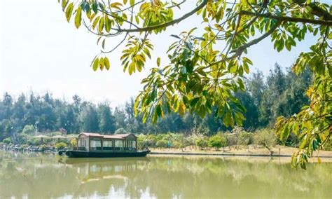 玉环有什么旅游景点