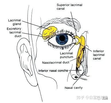 躺在床上眼泪划过鼻梁崩溃的文案[推荐74条]