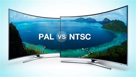 DVD - NTSC 与 DVD - PAL 这两种视频格式分别有什么特点,彼此之间又有何不同?