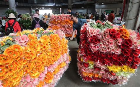 斗南花卉市场营业时间