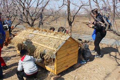 鸡窝用什么消毒水去消毒