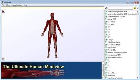 有没有那种3D的解剖学软件