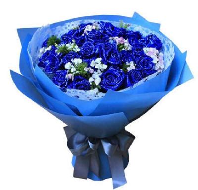 蓝色妖姬玫瑰花花语是什么?