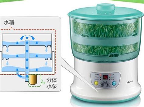 怎么用豆芽機發豆芽?