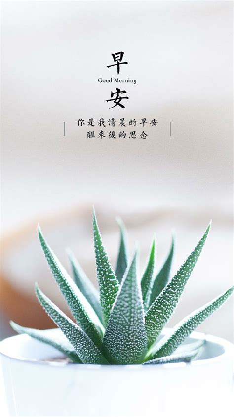 友情早安祝福语暖心短句