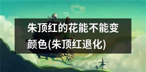 青柠檬开花是什么颜色