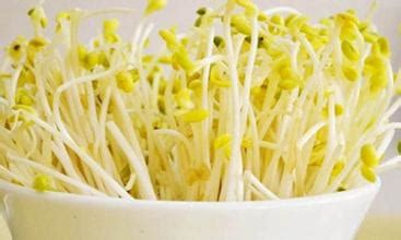 绿豆发芽记-观察日记500字(共6则)