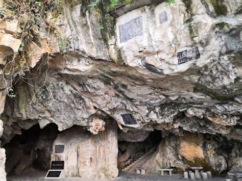 关于马鞍山翠林