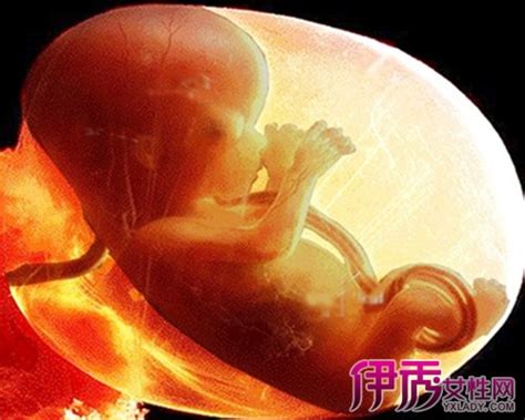 为什么34周的胎儿会缺氧