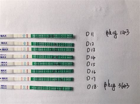 囊胚移植21天hcg参考值