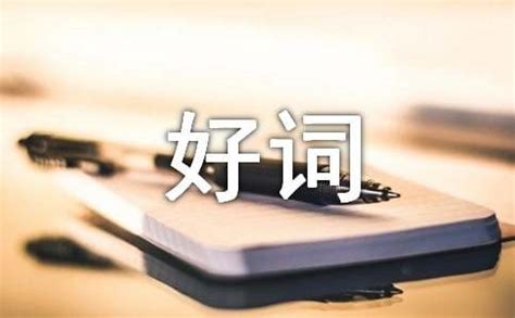 围城好词好句