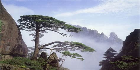 现在黄山门票 有效期是几天?