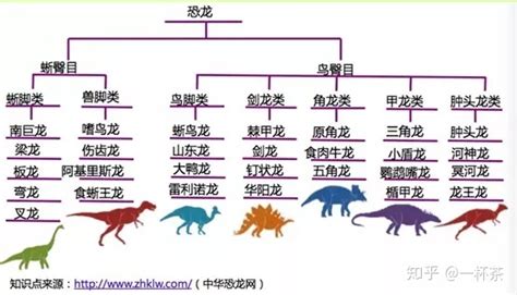 如何训练孩子的发散性思维