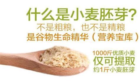小麥胚芽粉什么牌子好
