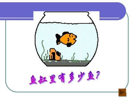 我家的小金鱼_描写小动物的作文400字（汇总9则）