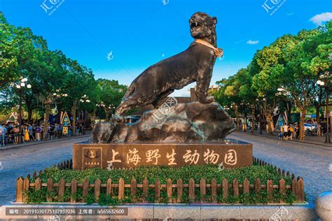 家里的“动物园”-写人作文300字[推荐6篇]