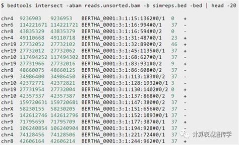 工艺包设计和BED,BED是指什么啊?